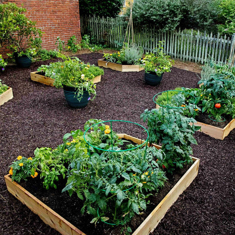 kids raised bed