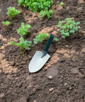 Bond Trowel – Teal