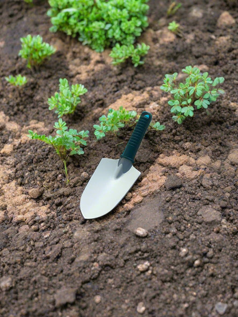 Bond Trowel – Teal